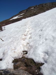 f6 The only way is up